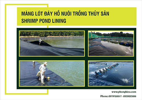 Màng lót đáy hồ nuôi trồng thủy sản - Màng Nhà Kính Phong Kiều - Công Ty TNHH Phong Kiều